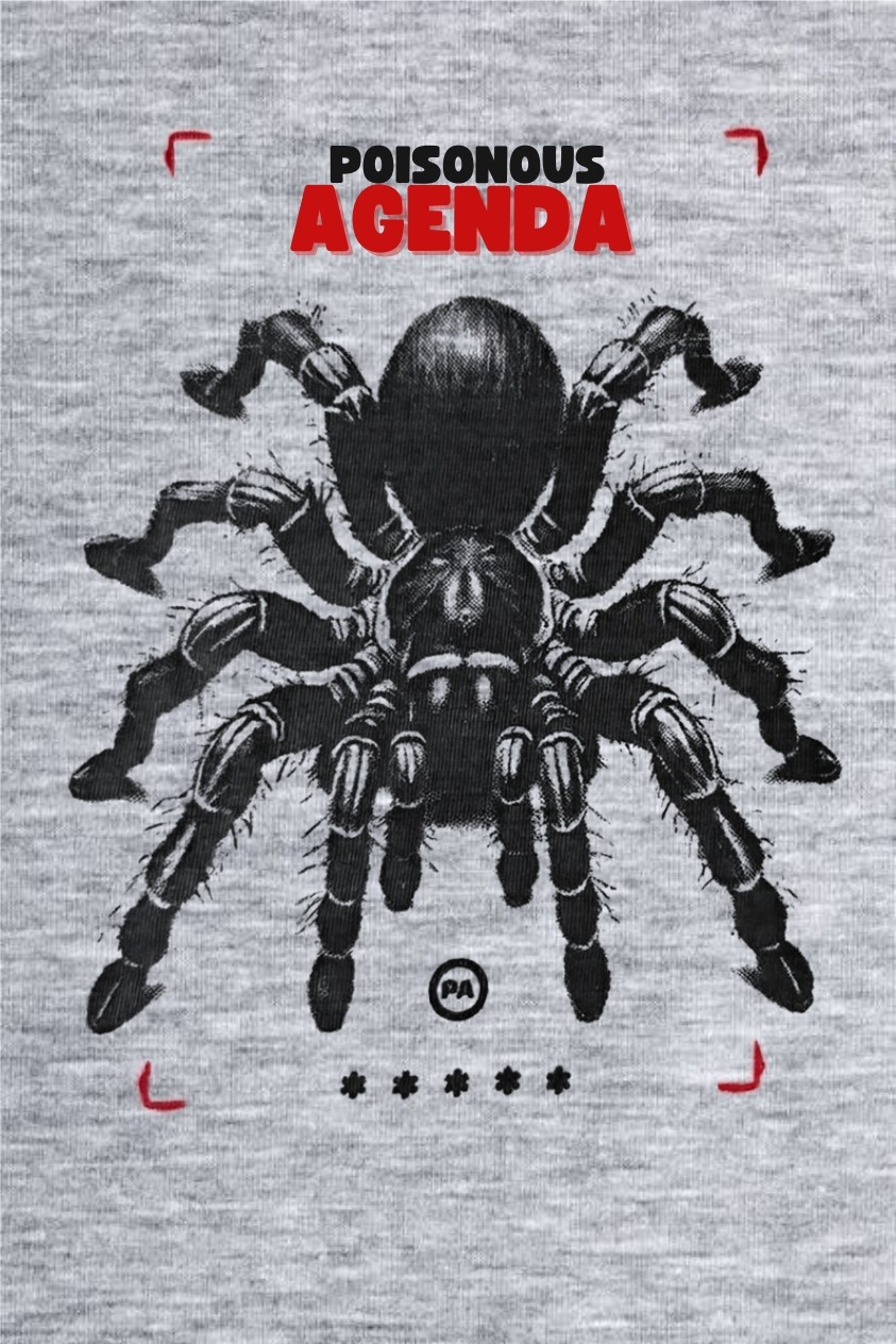 Remera de niño con estampa araña